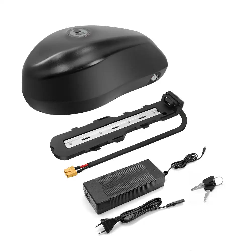 48V 20Ah frog-style e-bike battery with XT60 base and 3A charger