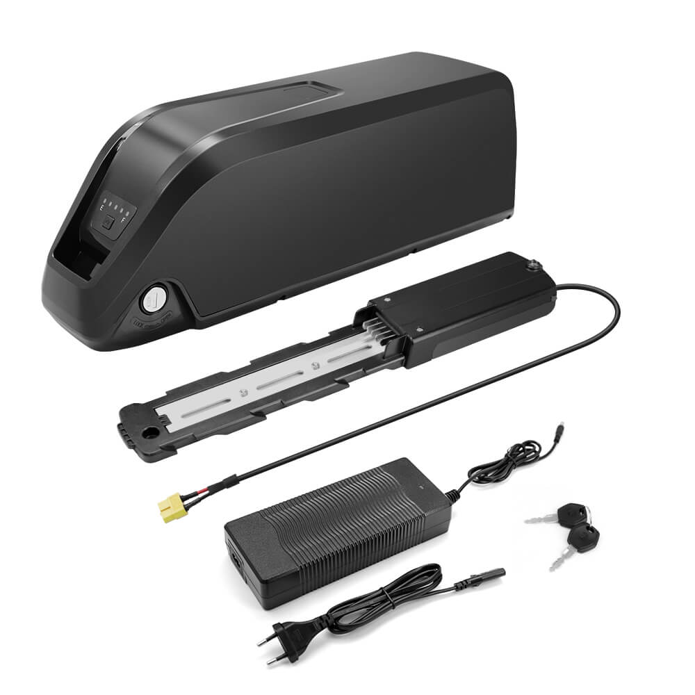 48V 20Ah Hailong e-bike battery with XT60 base and 3A charger