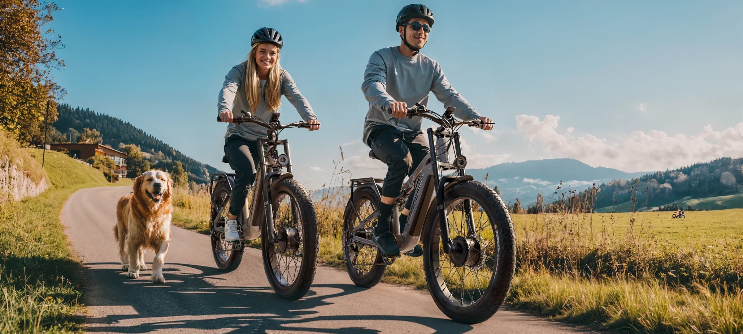 Trailblazer Mountain E-Bikes