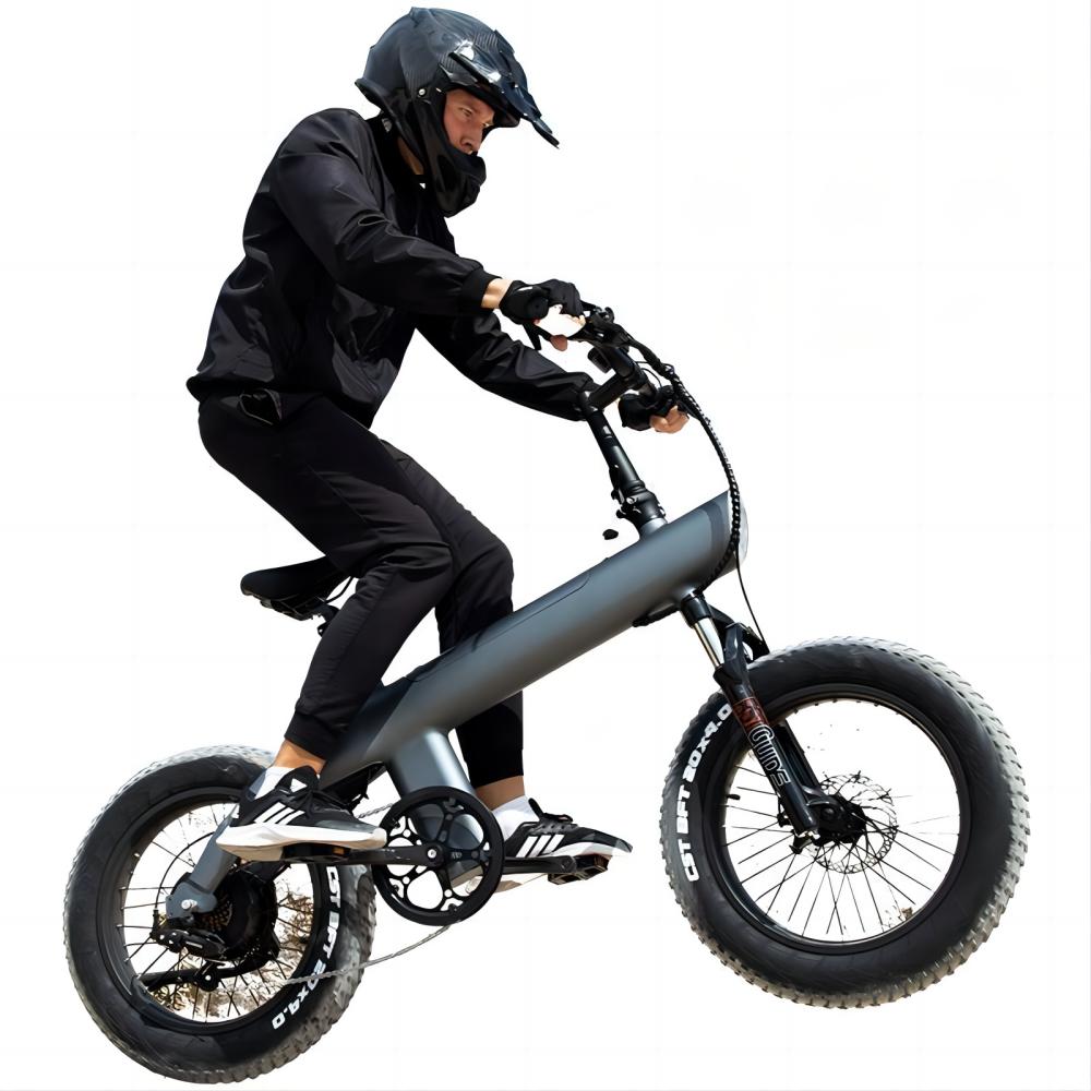 ebikescootermall_KIXIN_04